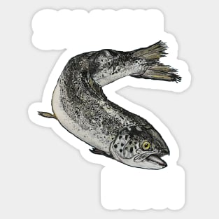 SALMON RUN in WHITE Sticker